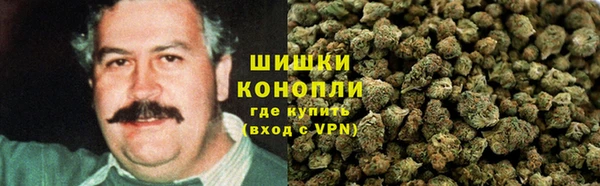 гидра Баксан