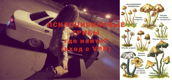 сатива Наволоки