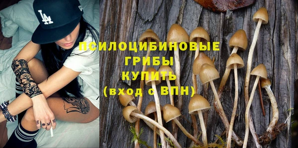 гидра Баксан