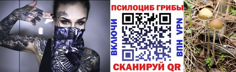 что такое Мосальск Псилоцибиновые грибы MAGIC MUSHROOMS