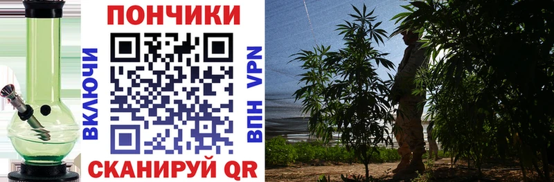 Марихуана гибрид  гидра как войти  Мосальск 